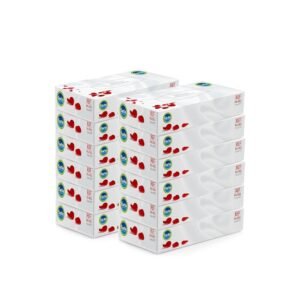 Farla Medical Facial Tissues - Pack of 12 Tissue Boxes, Bulk Buy 2-ply, 1200 Count (12 Pack of 100), White