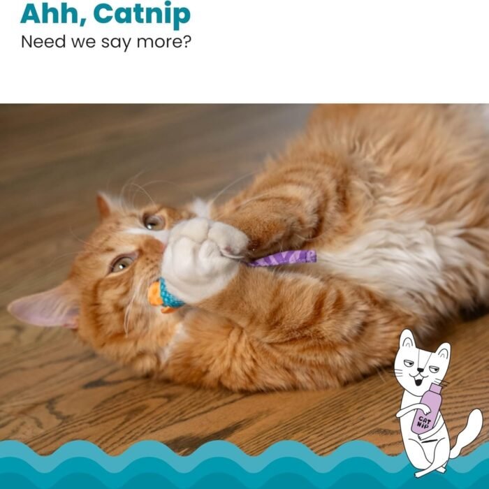 3_81s5DWOJutL._AC_SL1500.jpg 3_81s5DWOJutL._AC_SL1500.jpg