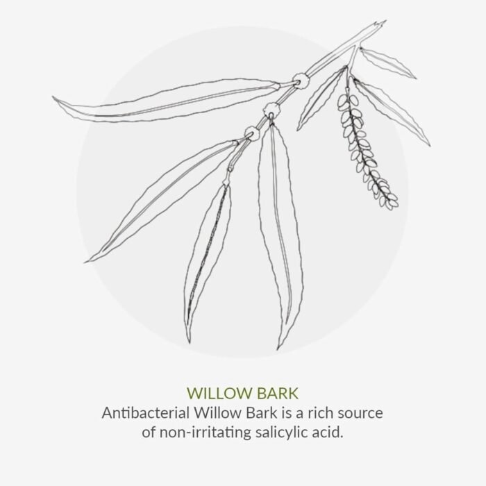 61YwIRy0riL._AC_SL1500.jpg 61YwIRy0riL._AC_SL1500.jpg