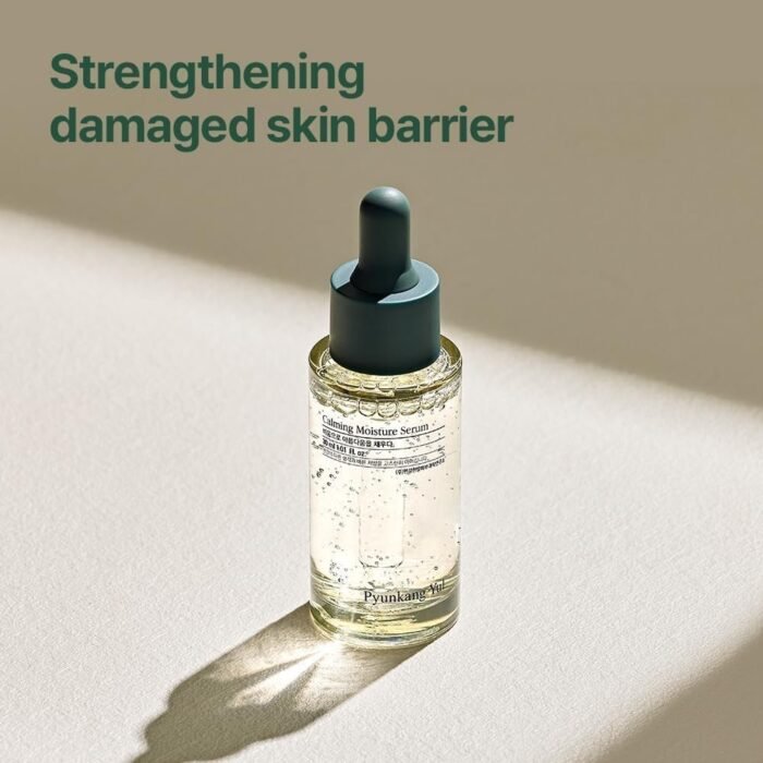 61kE3-OHRvL._AC_SL1000.jpg 61kE3-OHRvL._AC_SL1000.jpg