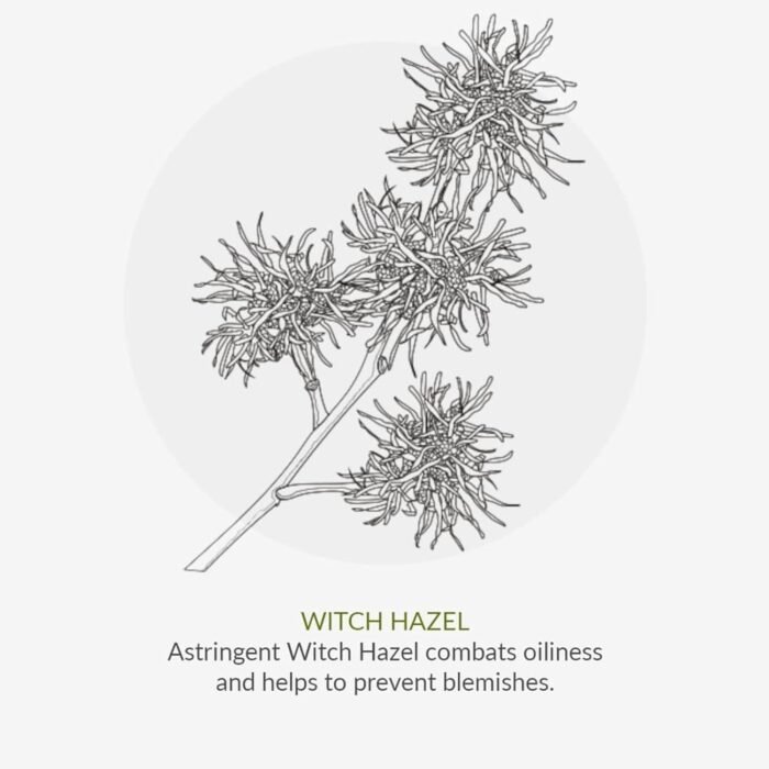 71G8izDbqDL._AC_SL1500.jpg 71G8izDbqDL._AC_SL1500.jpg