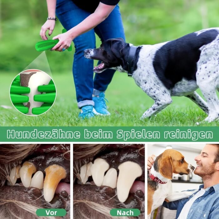 81KshCN0jL._AC_SL1500.jpg 81KshCN0jL._AC_SL1500.jpg