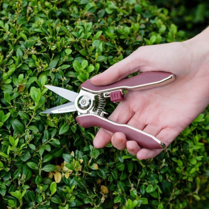 Untitled-1-copy-3.jpg Untitled-1-copy-3.jpg